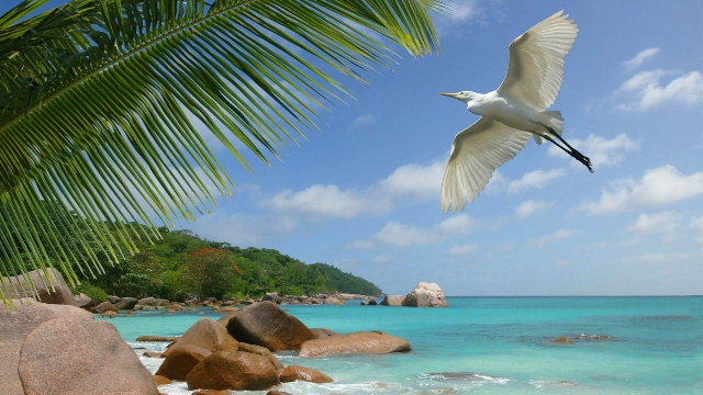 Seychelles